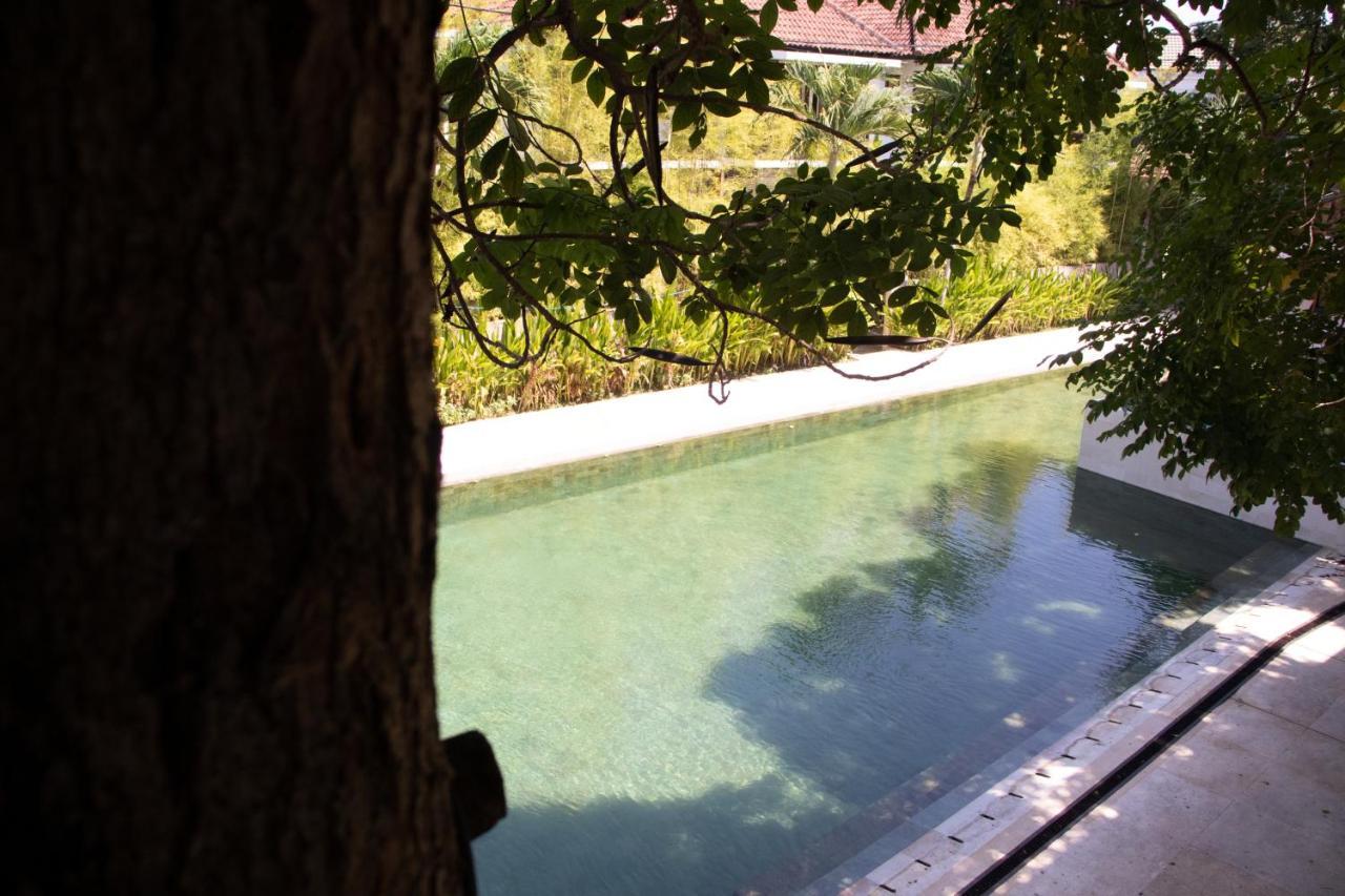 Sayang Sanur Duplex Daire Dış mekan fotoğraf